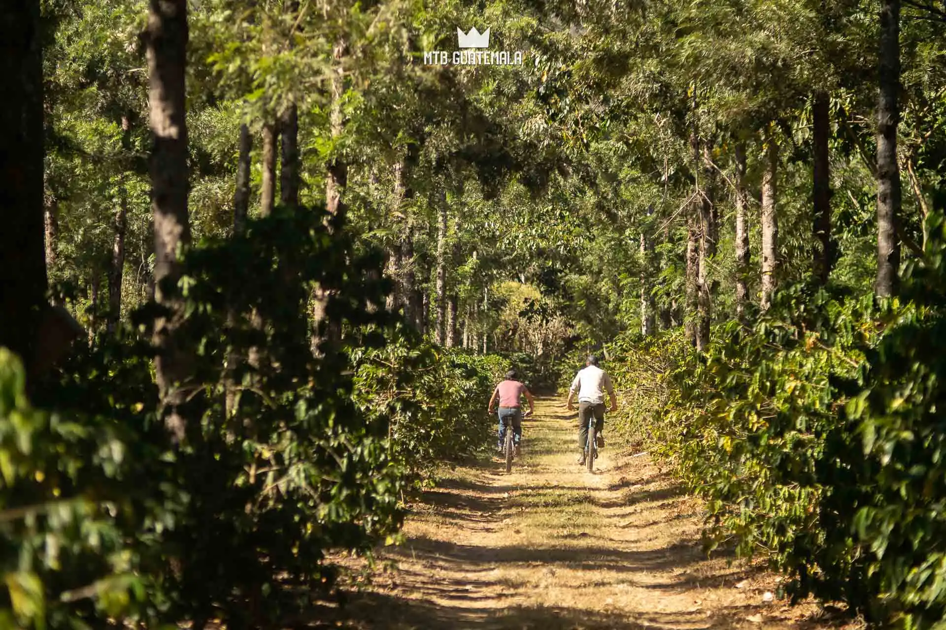 Antigua Coffee Tour