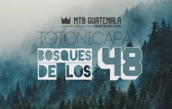 BOSQUE DE LOS 48 CANTONES